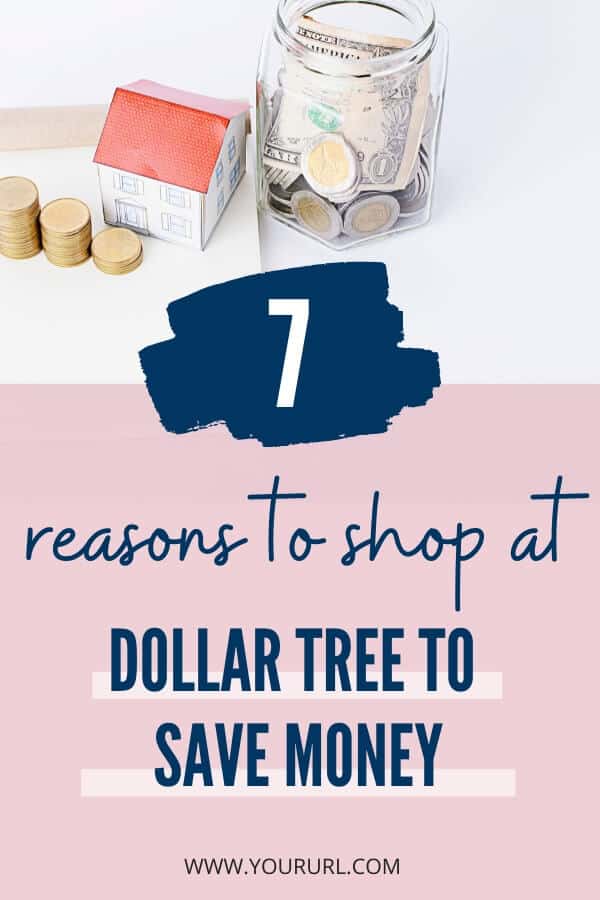 7 Best Reasons to Shop at Dollar Tree to Save Money...