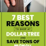 7 BEST REASONS TO SHOP AT DOLLAR TREE TO SAVE MONEY