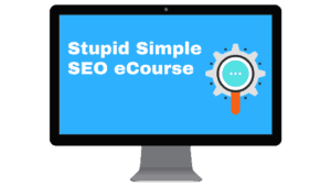 stupid simple seo course