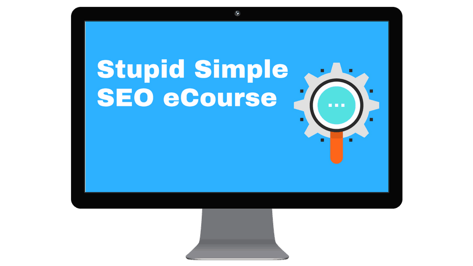 stupid simple seo course