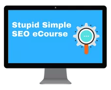 Stupid simple seo ecourse