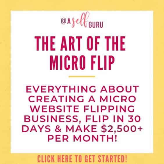 The Art of the Micro Flip Jenn Leach course website flipping