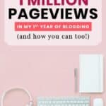 How to Get 1 Million Pageviews in Your First Year Blogging: Interview with Frances Vidakovic