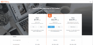 screenshot of picmonkey pricing