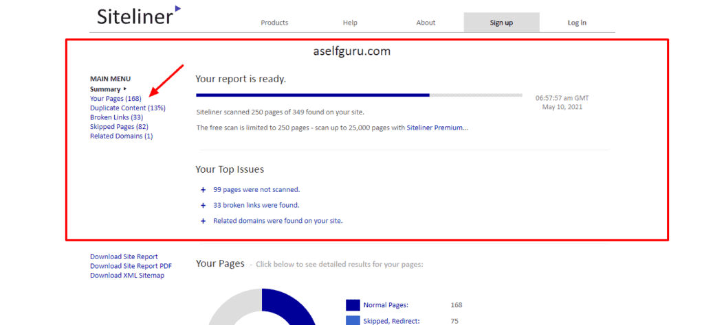 aselfguru-siteliner-report