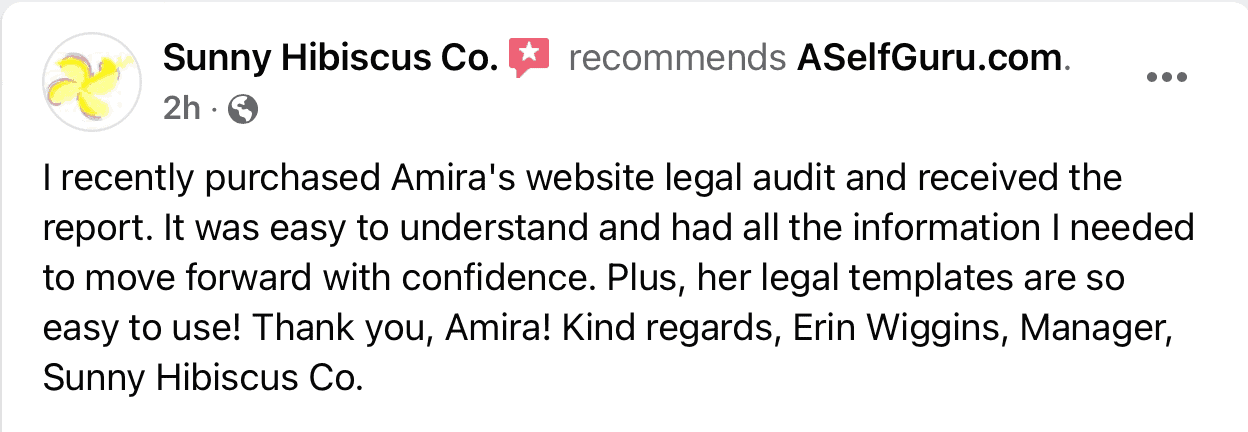 erin website audit