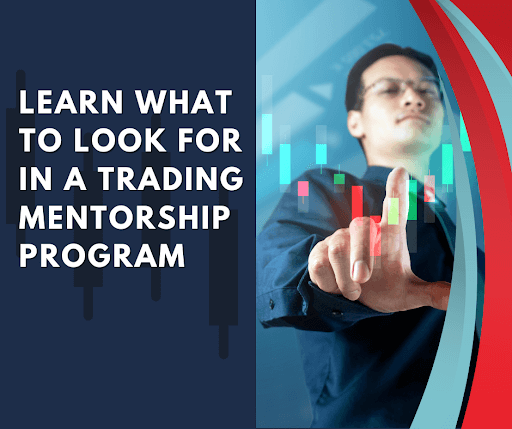 what to look for in a trading mentorship program